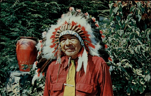 Chief standing deer cherokee - chief,