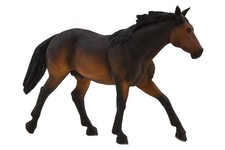 Mojo 387151 Quarter Horse Brun