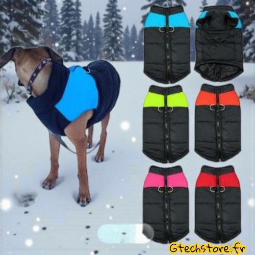 Manteau chien hiver chaud - hiver,