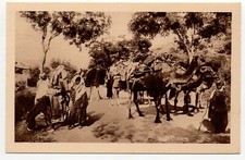 ALGERIE - Série Cpa du