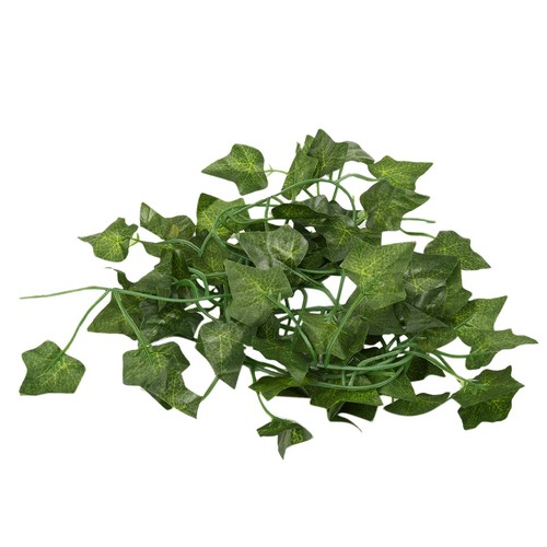 Long plantes - 5x(2m,