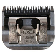 Trixie les Tête Moser