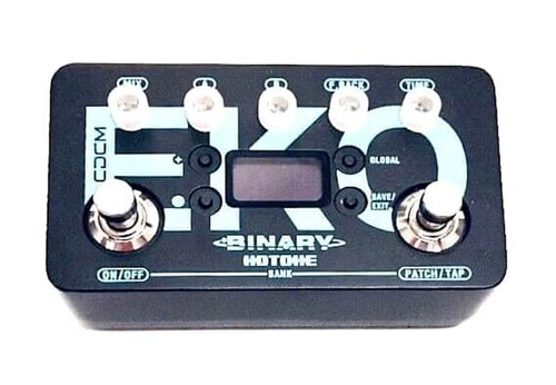 Hotone binary eko guitar - hotone,