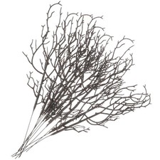  10 Pcs Décoration De Branche