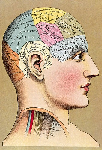 Phrenology head with regions