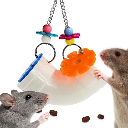 Rat enrichment toys wide - rat,