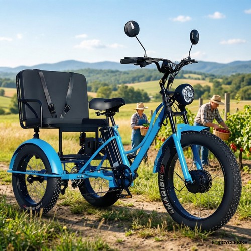 Tricycle électrique familial - électrique,