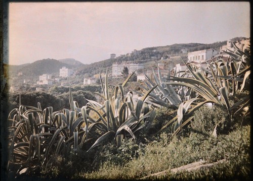 Autochromes cm cannes - 9x,