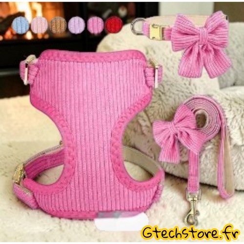 Ensemble harnais chien - harnais,