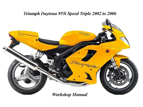 Triumph daytona 955i - daytona, speed