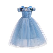 Robe Princesse Reine des