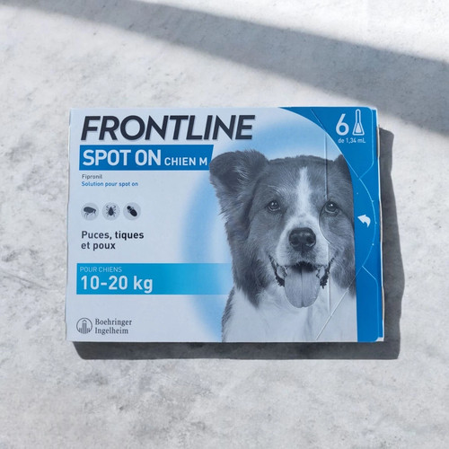 Spot pour chiens - spot, 6
