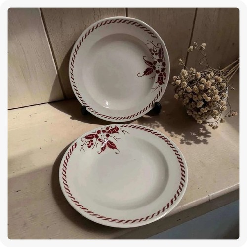Duo assiettes anciennes boch - duo,
