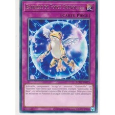 Barrière de Force Grenouille