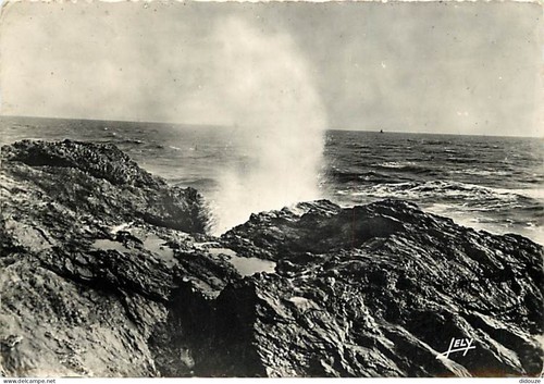 Carte postale vendée - -,