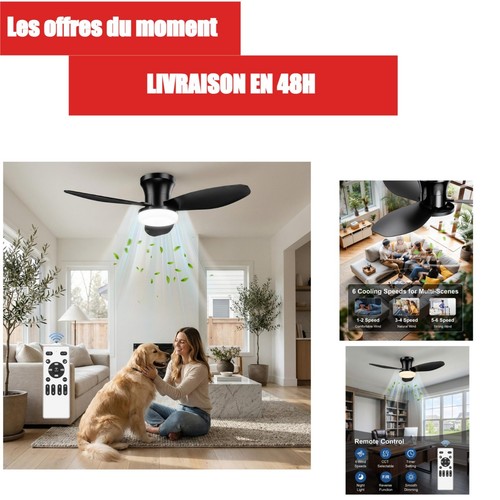 Ventilateur plafond - ventilateur, de