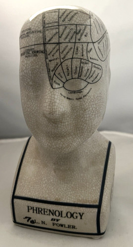 Phrenology head statue by - phrenology,