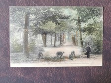 CPA 92 CLAMART - Dans le Bois - chestnut pickers