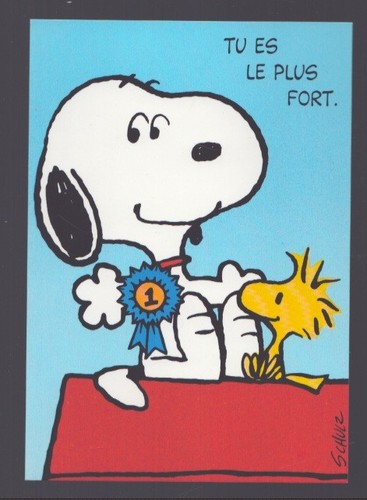 Schutz carte postale - .,