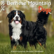 CALENDRIER BOUVIER BERNOIS 2026