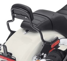 Harley-Davidson HoldFast Sissy