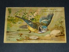 CHROME 1885-1910 CHOCOLATE FOAL ANIMALS BIRDS PASSERINES MESANGE