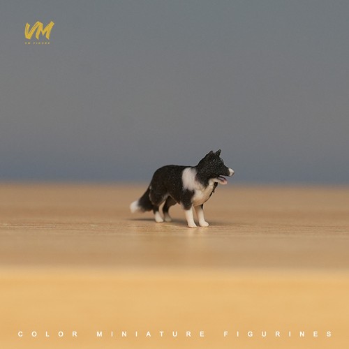 Border collie dog - 1/64,