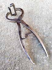 ANCIENNE PINCE DE CASTRATION