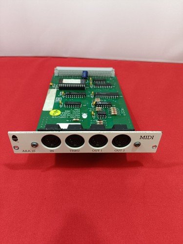 Module midi acorn - module, pour