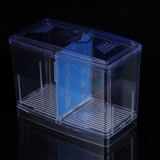  Petite boîte à éclosion