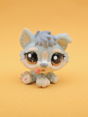 Lps littlest pet - lps, shop