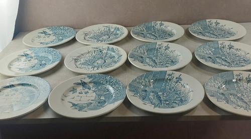 Lot anciennes assiettes - lot, 12