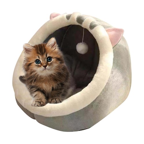 Niche pour chat - chat,, maisons