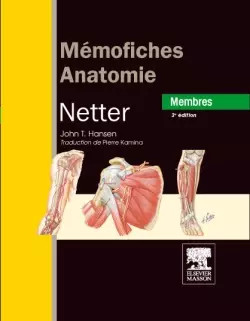 Mémofiches anatomie netter - mémofiches,