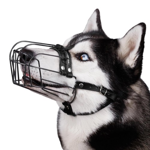 Museau chien réglable fil - chien,