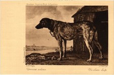 PC RUSSIAN ART P. POTTER A DOG WOLF ARTIST SIGNED (a44467)