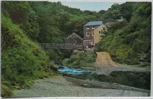 Carte postale vintage - vintage, robin