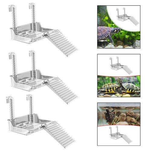 Plate forme aquarium de - d'aquarium,