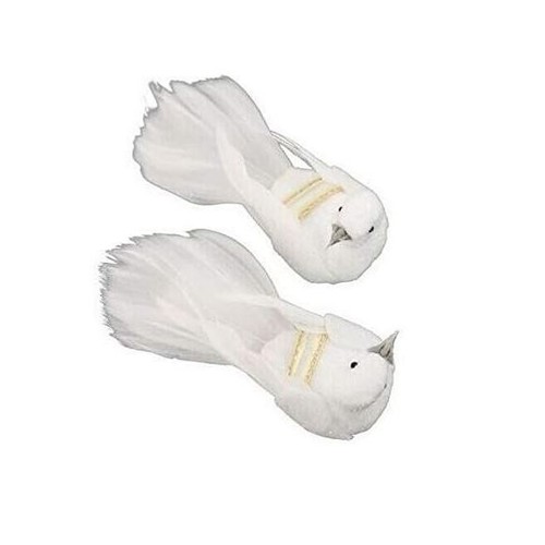 Petit couple colombe - petit,
