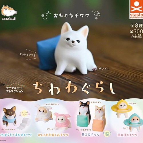 Chihuahua living dog set