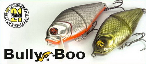 Pontoon poisson nageur - pontoon,