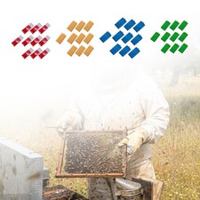 10x Cages Queen Bee Boîte de