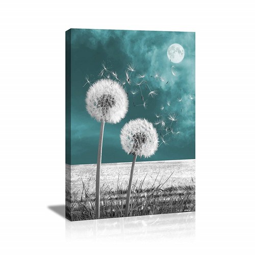 Images sur toile 60 cm - sur,