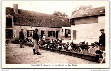 45 COMBREUX - the kennel - the soup.