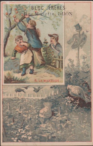 Chromo ancien publicite - ancien,