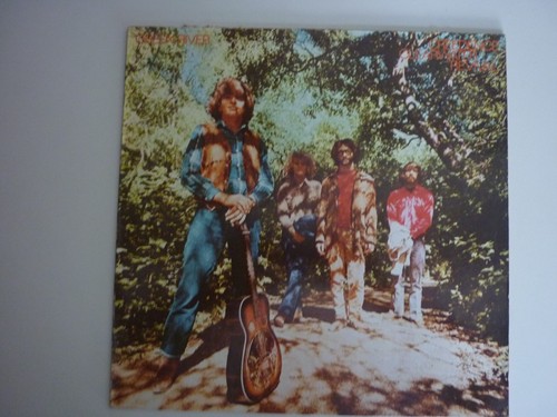 Disque vinyle tours green - disque,