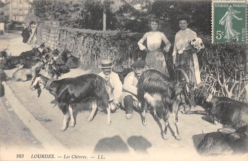 Cpa lourdes les - lourdes, /