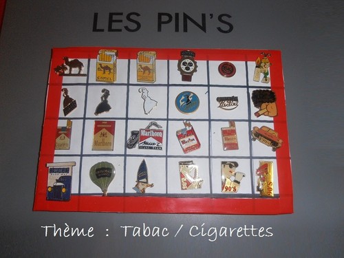 Lot pin avec attaches - 24,