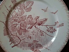 2 Assiette Ancienne Oiseaux *