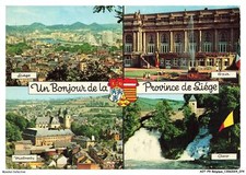 AOTP9-0604-BELGIUM - LIEGE - UN BONJOUR DE LA PROVINCE DE Liège - Liège - S